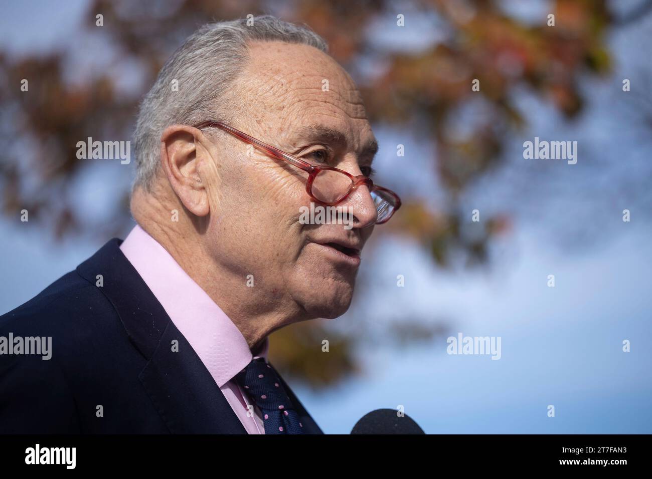 Senate Minority Leader Chuck Schumer (D-N.Y.) speaks during a press ...