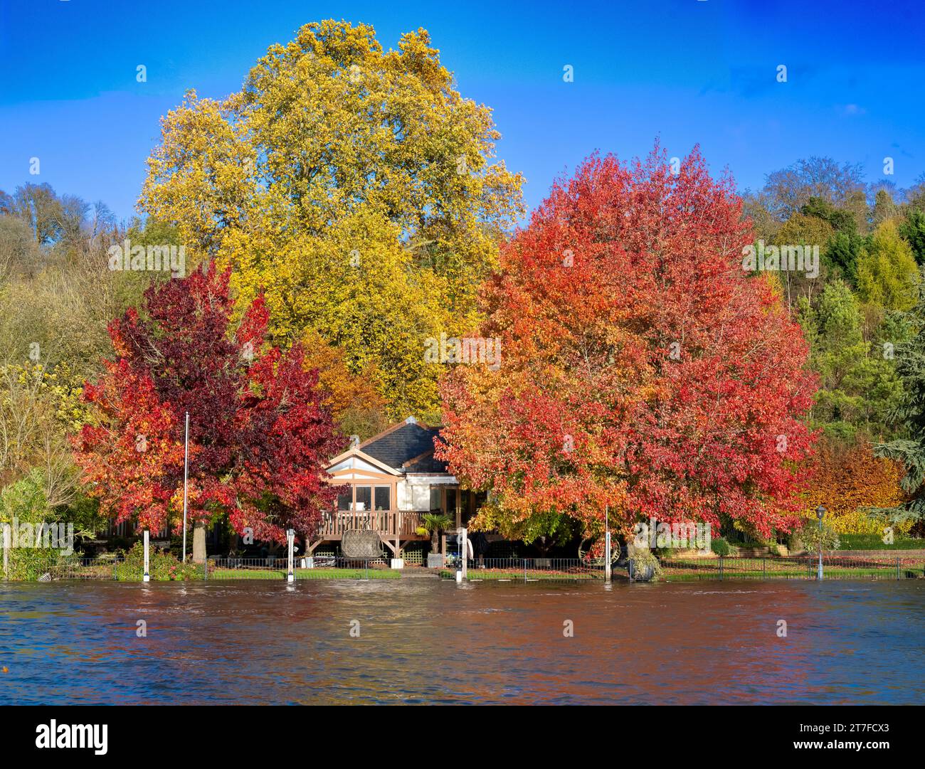 UK Weather  -Autumn colours Henley on Thames  Oxfordshire UK Riverside retreat on the River Thames, surrounded by autumn colours as the leaves begin to turn.    Credit Gary Blake /Alamy Live News Stock Photo