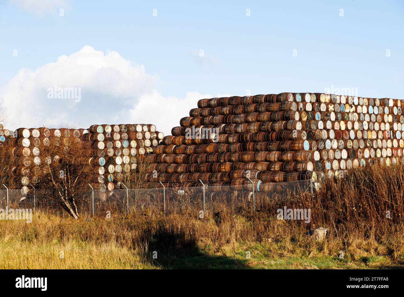 Craigellachie, Banffshire, Scotland. Nov. 15, 2023. Colorful whiskey barrels are piled high at Speyside Cooperage. Stock Photo