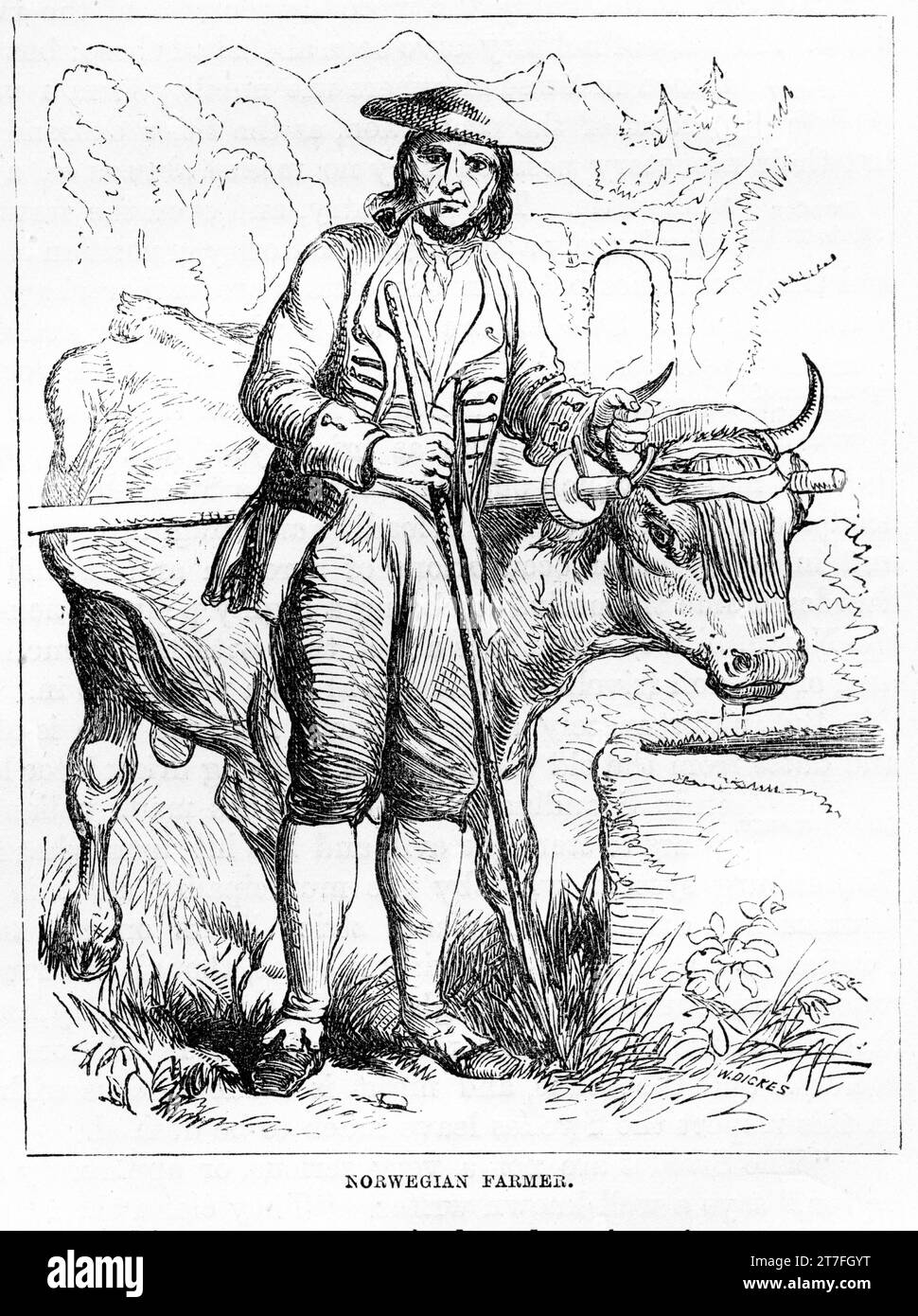 Engraved portrait of a Norwegian farmer with a cow. Published circa 1887 Stock Photo