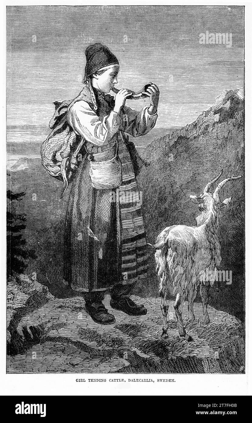 Engraved portrait of Swedish peasant woman tending goats in the mountains. Published circa 1887 Stock Photo