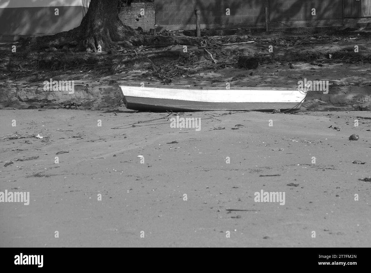 Brazil, Bahia September 7, 2023: coastline with dirty beaches trash algae disease proliferation image Stock Photo