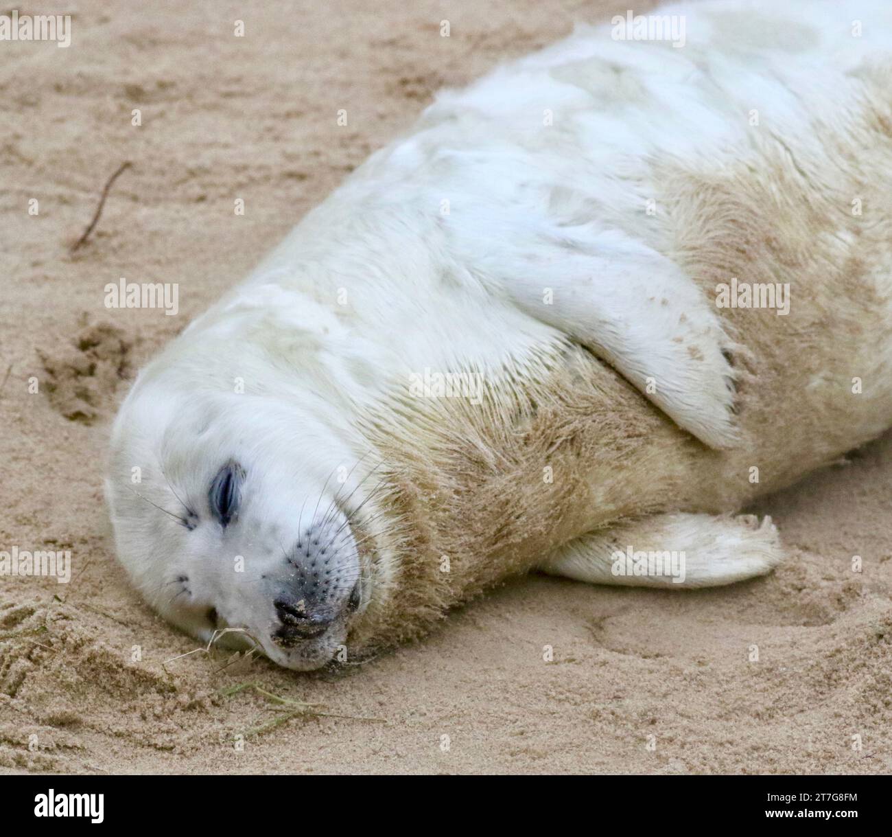 My Photos for sale Stock Photo Alamy