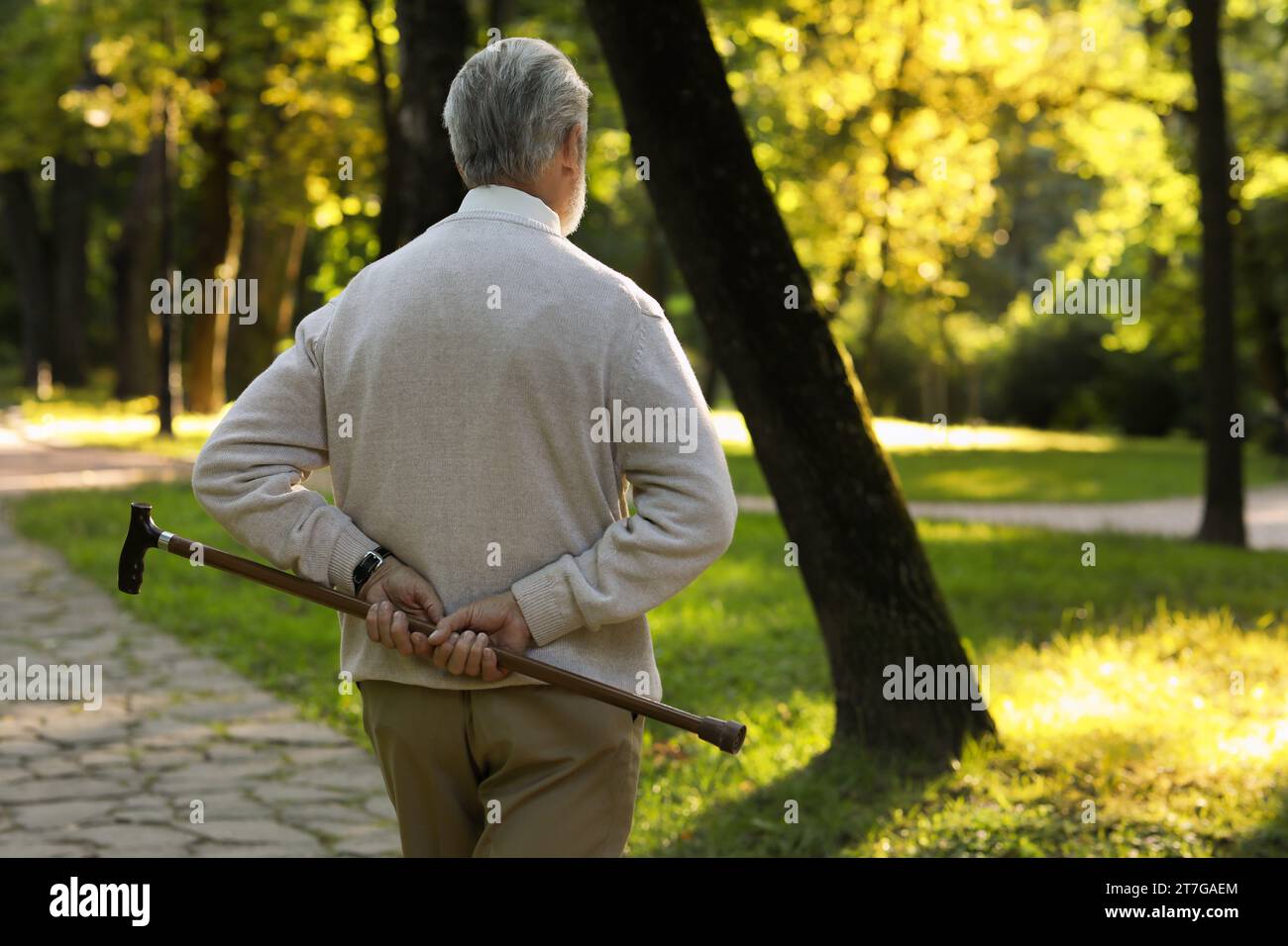 Senior man with walking cane in park, back view. Space for text Stock ...