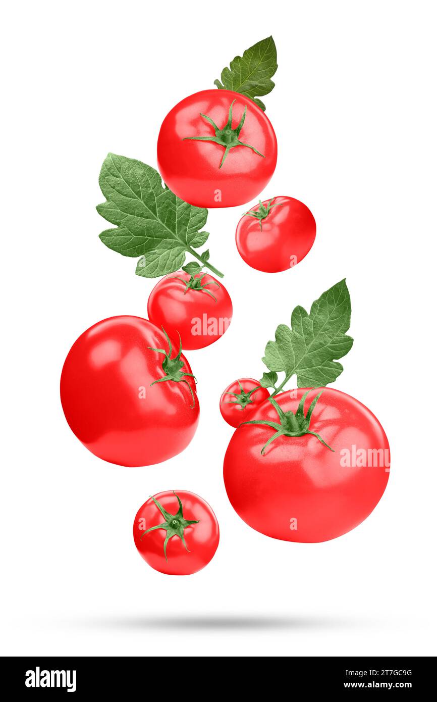 Fresh ripe tomatoes and green leaves falling on white background Stock ...