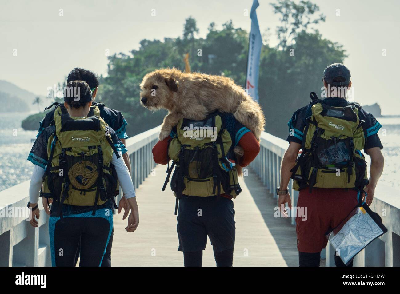 RELEASE DATE: February 22, 2024. TITLE: Arthur The King. STUDIO: Lions Gate Films. DIRECTOR: Simon Cellan Jones. PLOT: An adventure racer adopts a stray dog named Arthur to join him in an epic endurance race. STARRING: SIMU LIU as Leo, NATHALIE EMMANUEL as Olivia, MARK WAHLBERG as Michael and ALI SULIMAN as Chik. (Credit Image: © Lions Gate Films/Entertainment Pictures/ZUMAPRESS.com) EDITORIAL USAGE ONLY! Not for Commercial USAGE! Stock Photo