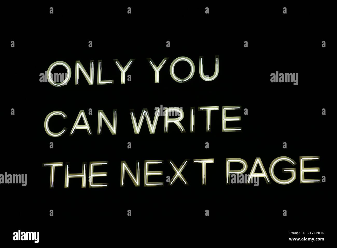 THE NEXT PAGE, Artist Hannah Jane Walker, Clayport Library, Durham City