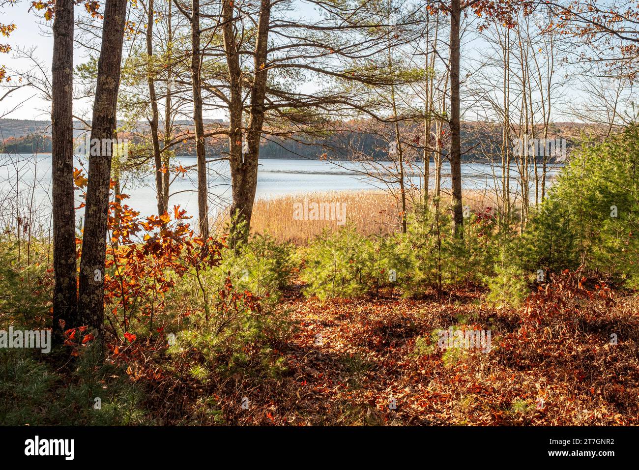 Quabbin Reservoir in New Salem, Massachusetts, Gate 35 Stock Photo