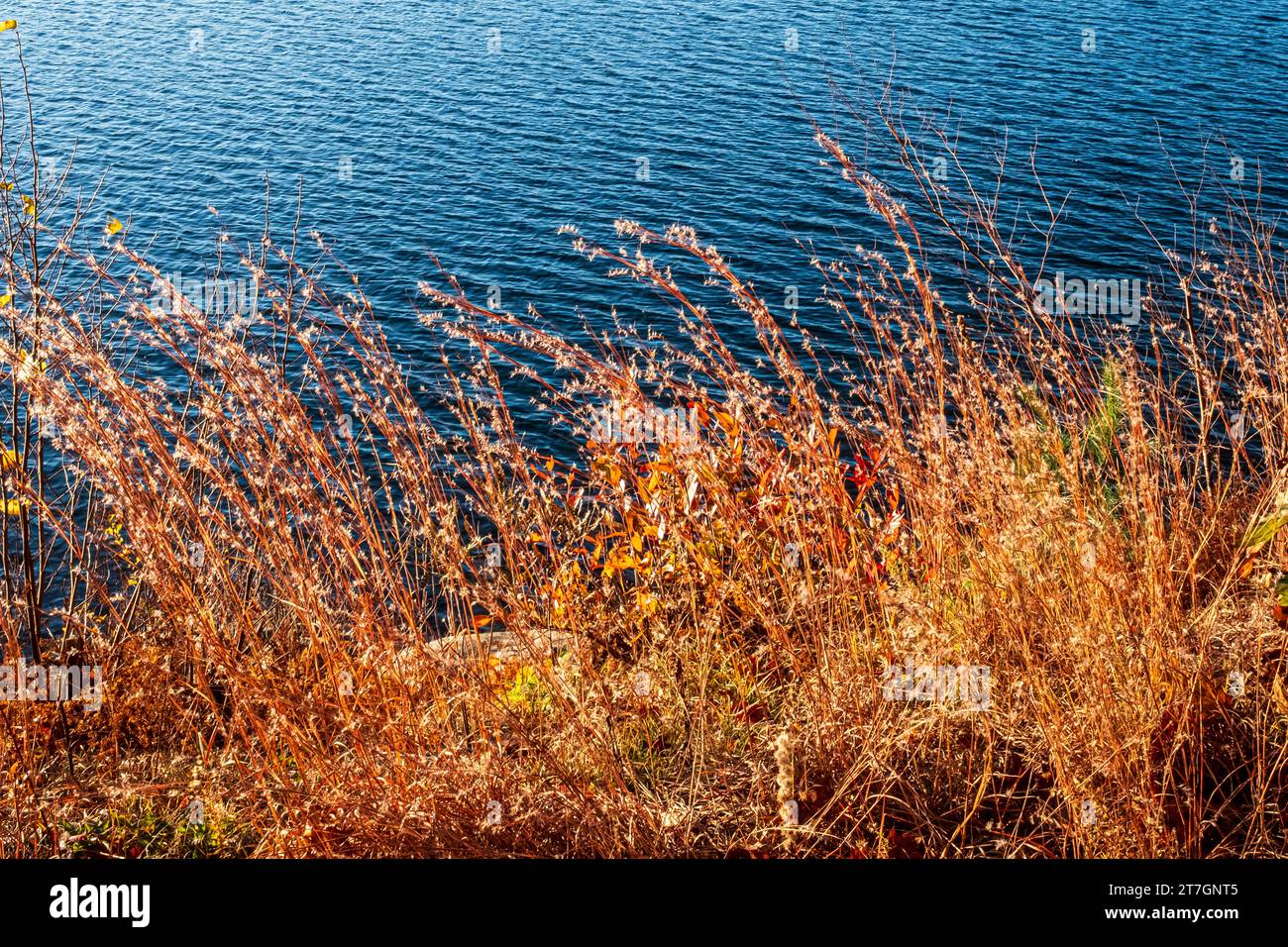 Quabbin Reservoir in New Salem, Massachusetts, Gate 35 Stock Photo