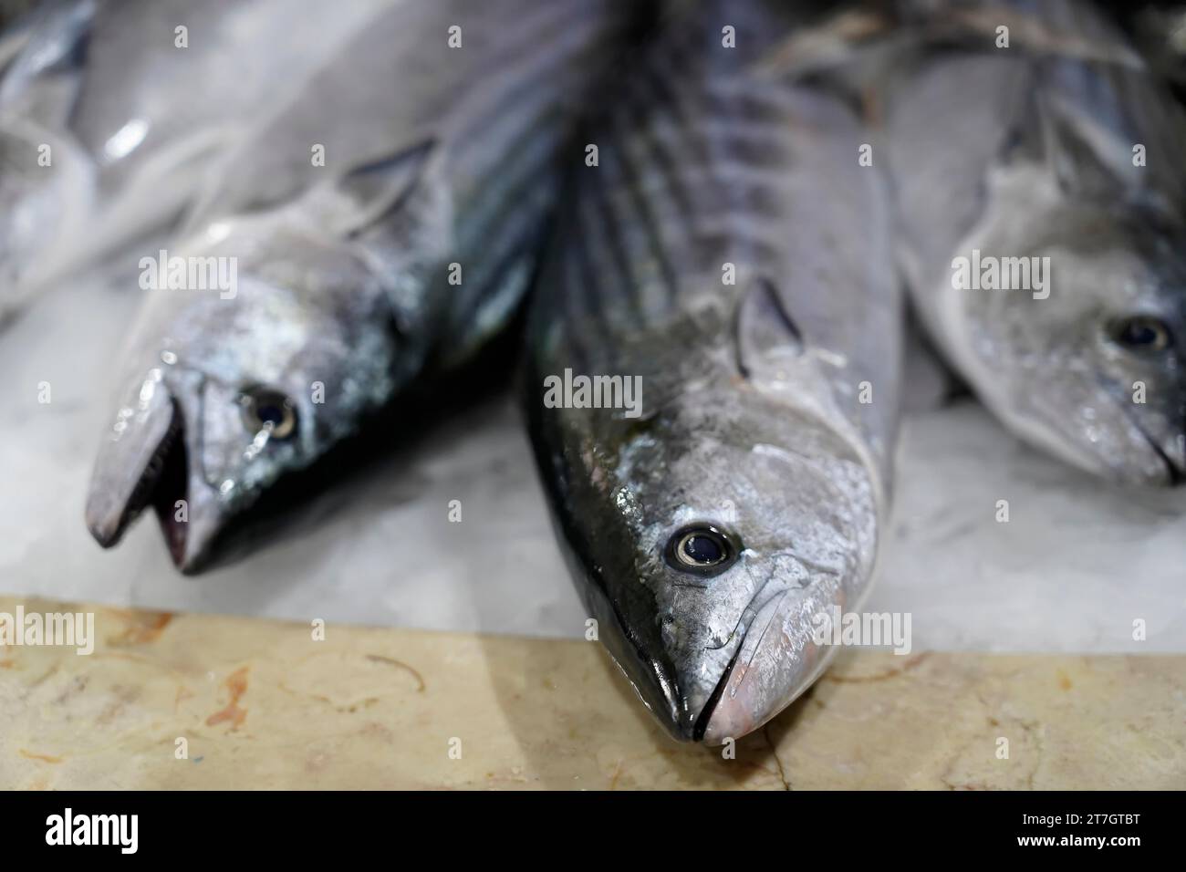 Fresh raw fish, seafood, fish market hall, market hall, Lagos, Portugal Stock Photo
