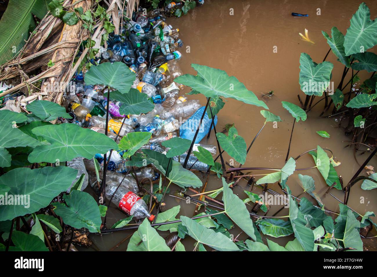 Kiambu, Kenya. 15th Nov, 2023. Plastic bottles float on Kiambu River