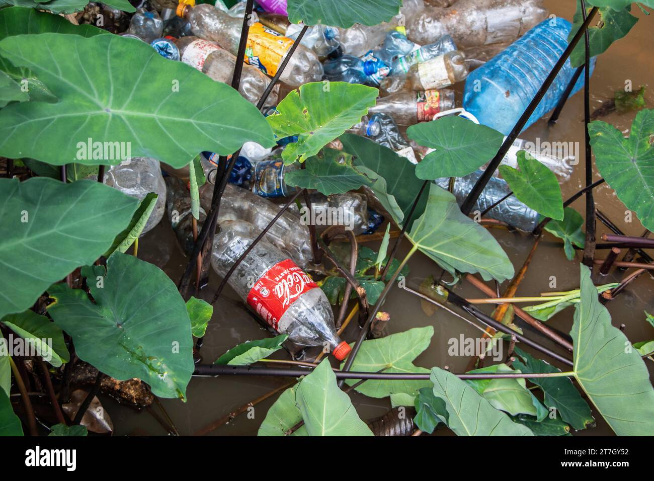 Kiambu, Kenya. 15th Nov, 2023. Plastic bottles float on Kiambu River
