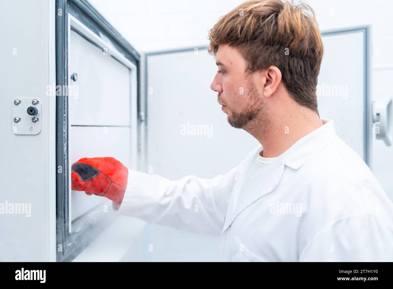 Side close-up view of scientist freezing samples in a cancer cell research laboratory Stock Photo