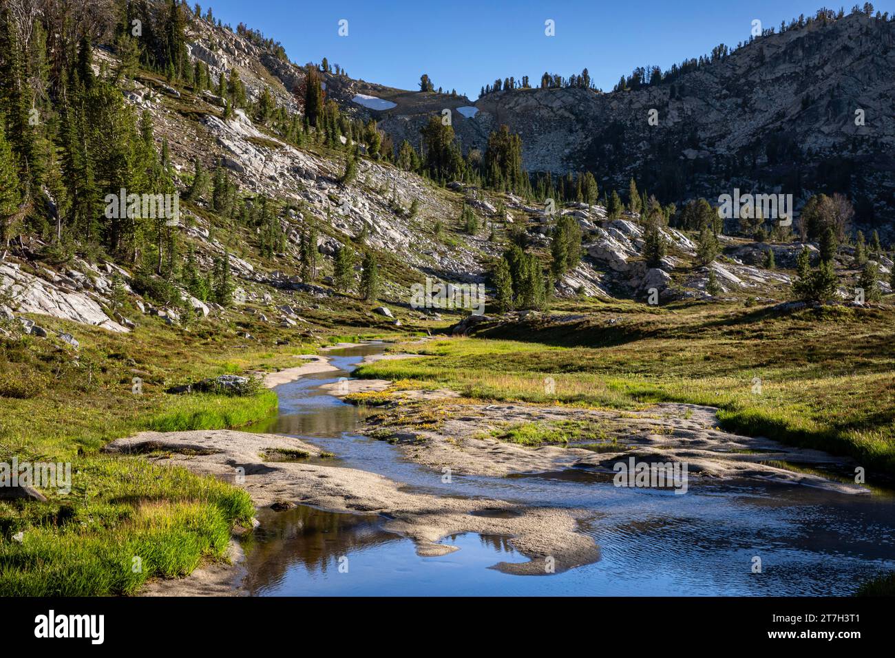 OR02746-00...OREGON - Elkhorn Creek located along the Copper Creek Trail in the Eagle Cap Wilderness area. Stock Photo
