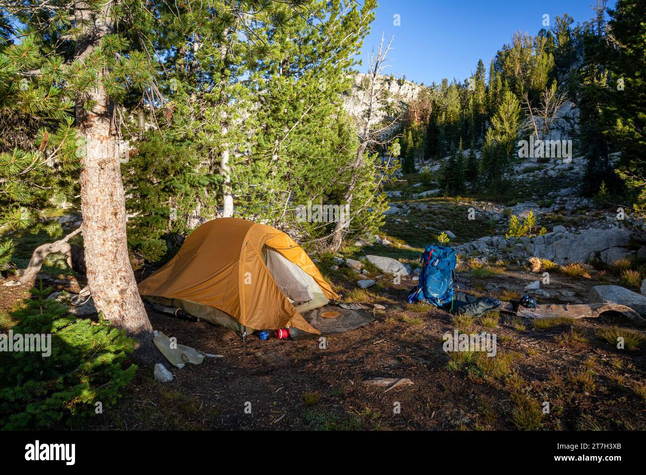 OR0274800...OREGON Backcountry campsite at the Elkhorn Creek Meadow