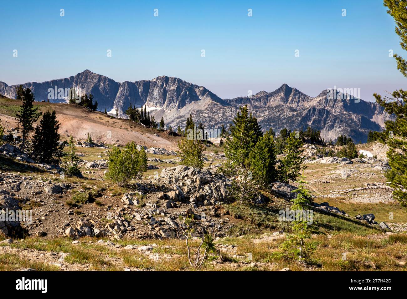 OR02751-00...OREGON - View near the intersection of the Copper Creek and Granite Trails in the Eagle Cap Wilderness. Stock Photo