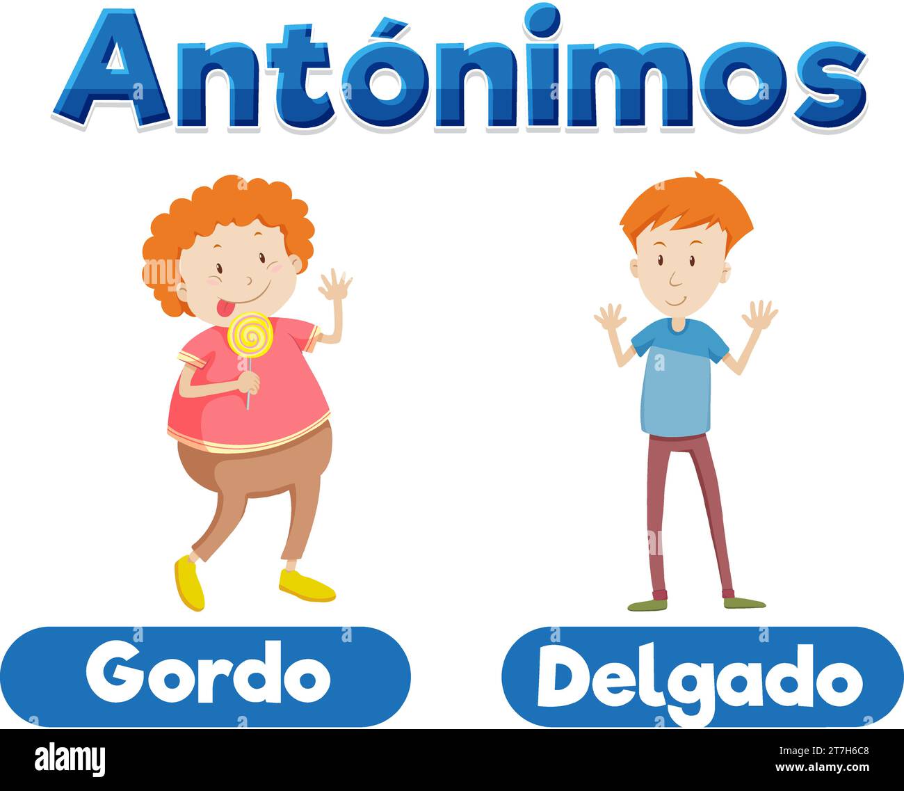 Illustrated picture word card teaching antonyms in Spanish Fat and Slim