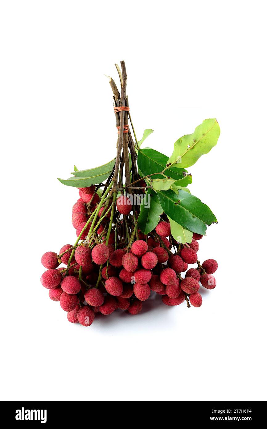 A bunch of red Nephelium hypoleucum, which look delicious, is tied together on a white background. Stock Photo