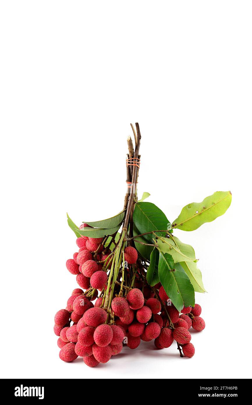 A bunch of red Nephelium hypoleucum, which look delicious, is tied together on a white background. Stock Photo