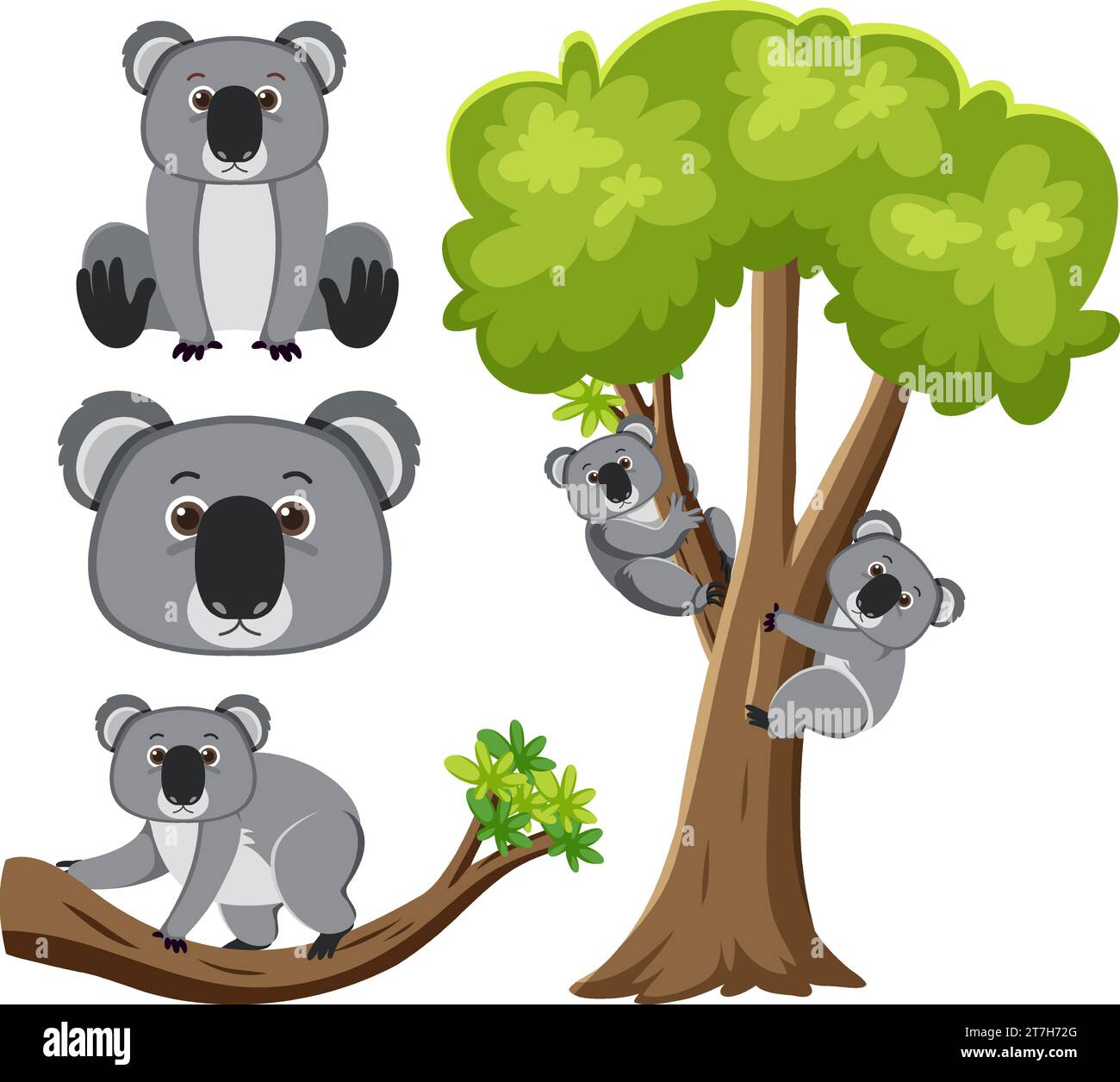 A cute koala sitting on a branch of a tree in a vector cartoon style ...