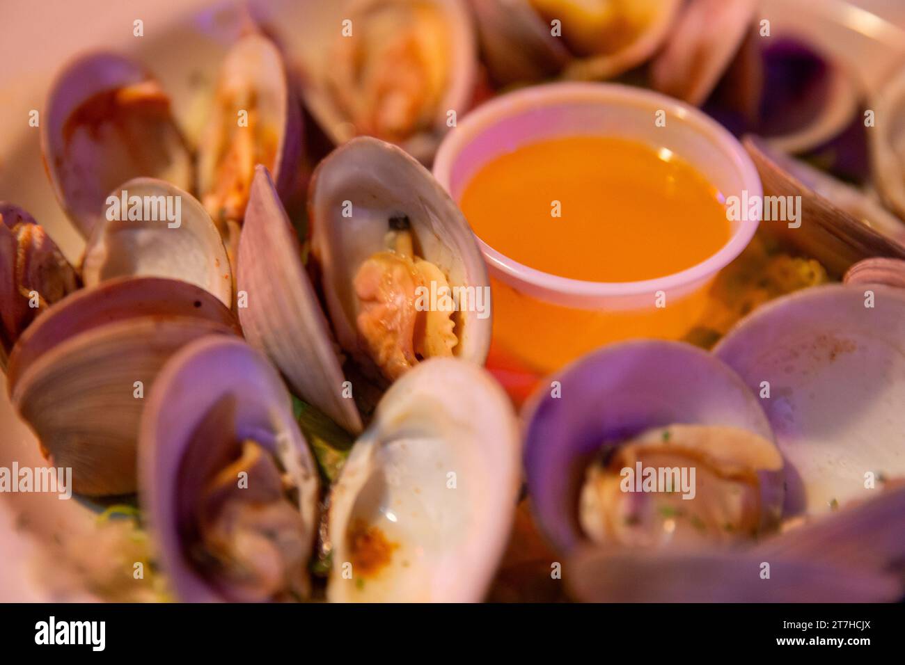 Steamed Clams with Butter at a sports bar Stock Photo Alamy