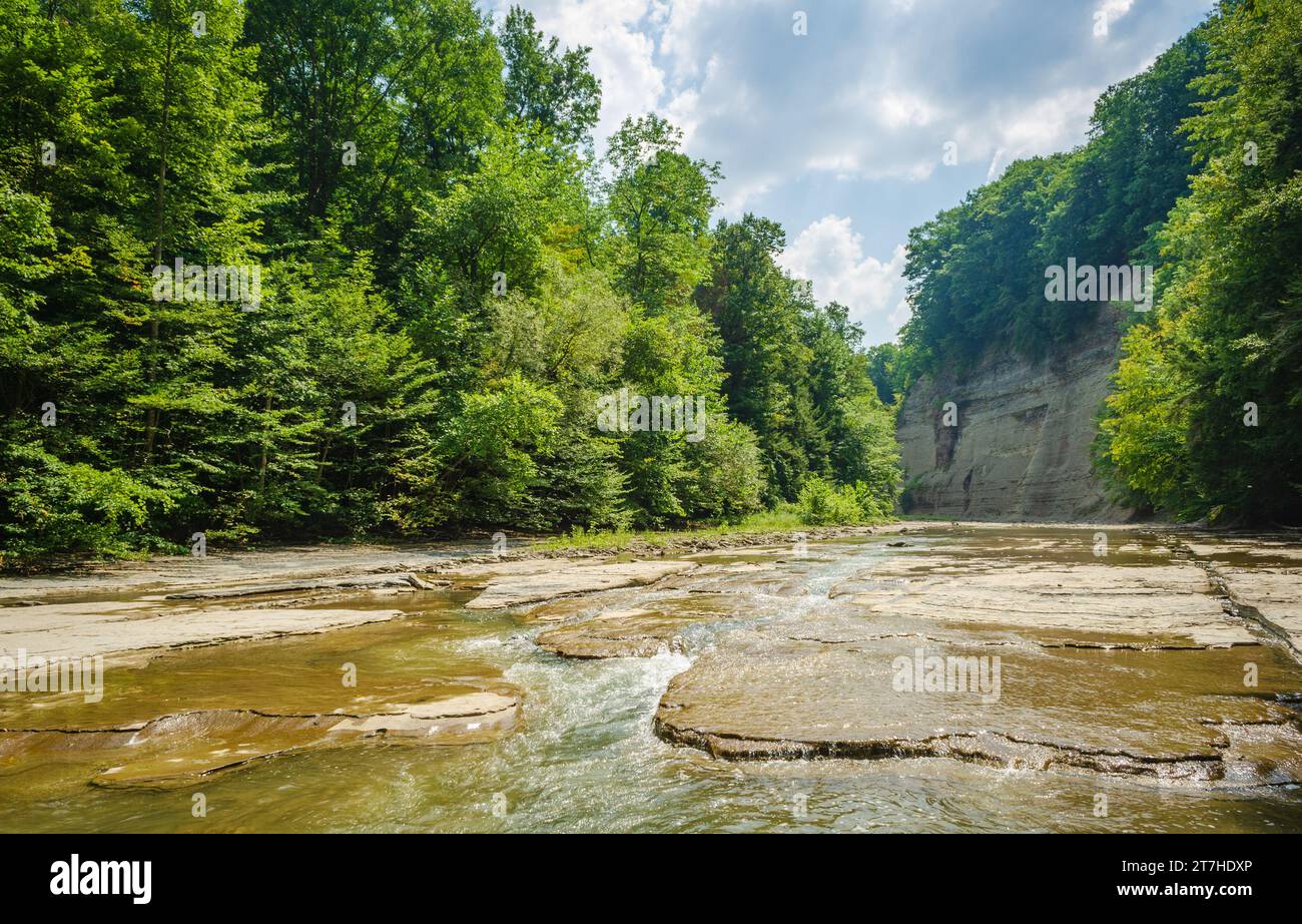 Zoar Valley Multiple Use Area and Nature Preserve in New York State