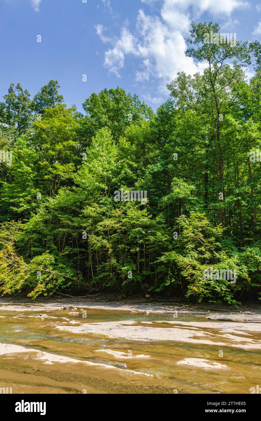 Zoar Valley Multiple Use Area and Nature Preserve in New York State