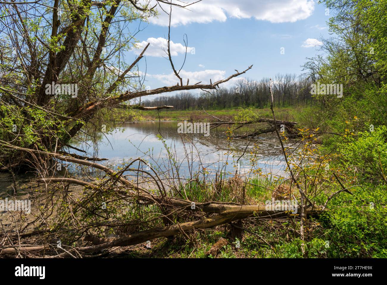 The Montezuma National Wildlife Refuge, National reserve in New York