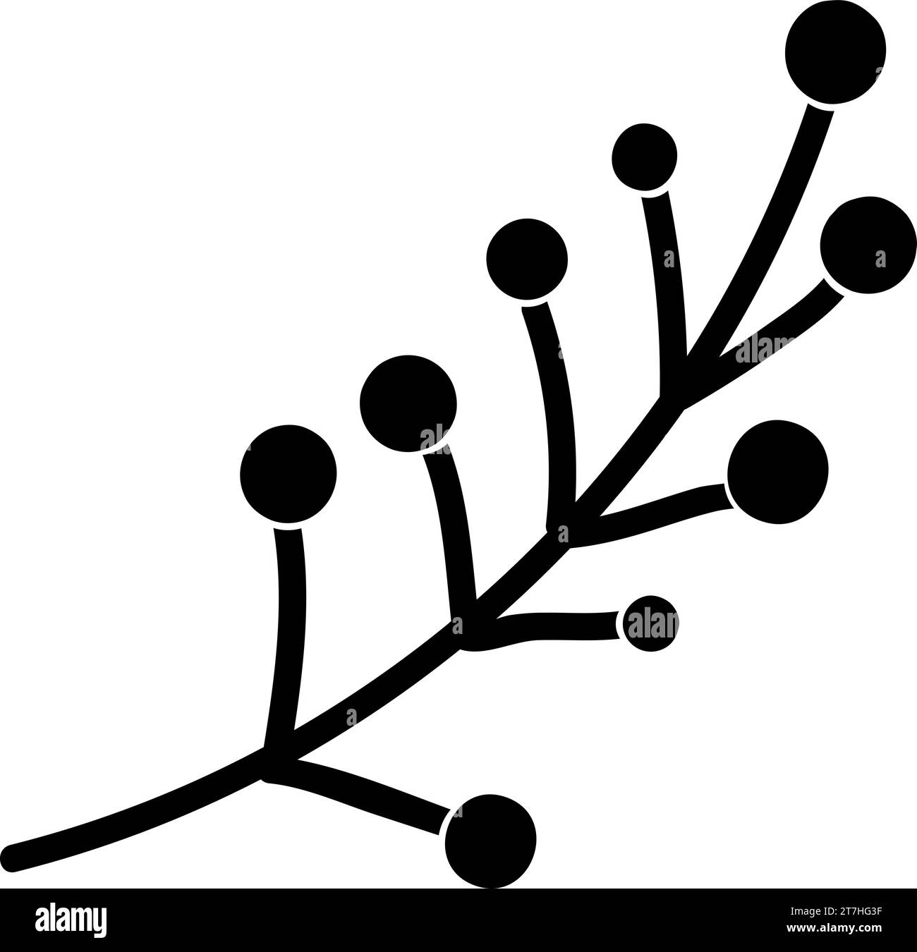 Black bird berry Stock Vector Images - Alamy