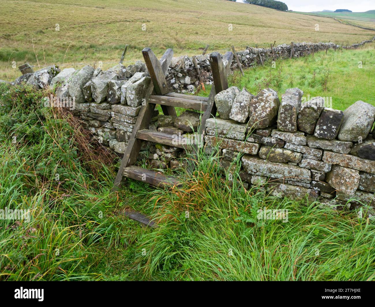 Stone wall with wooden stile. Stock Photo