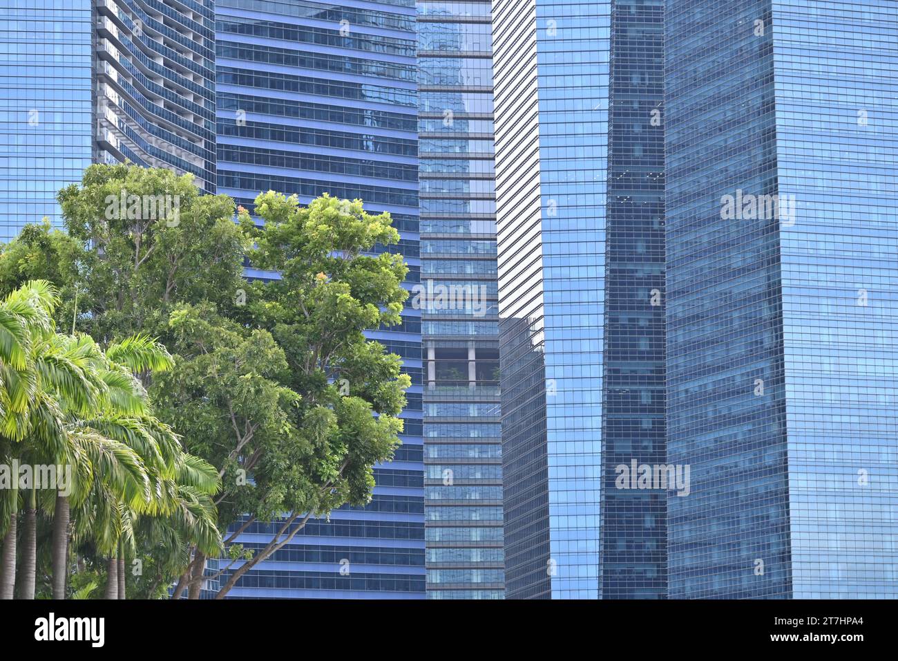 Detail of the curtain walls of the skyscrapers in Marina Bay Sands, an