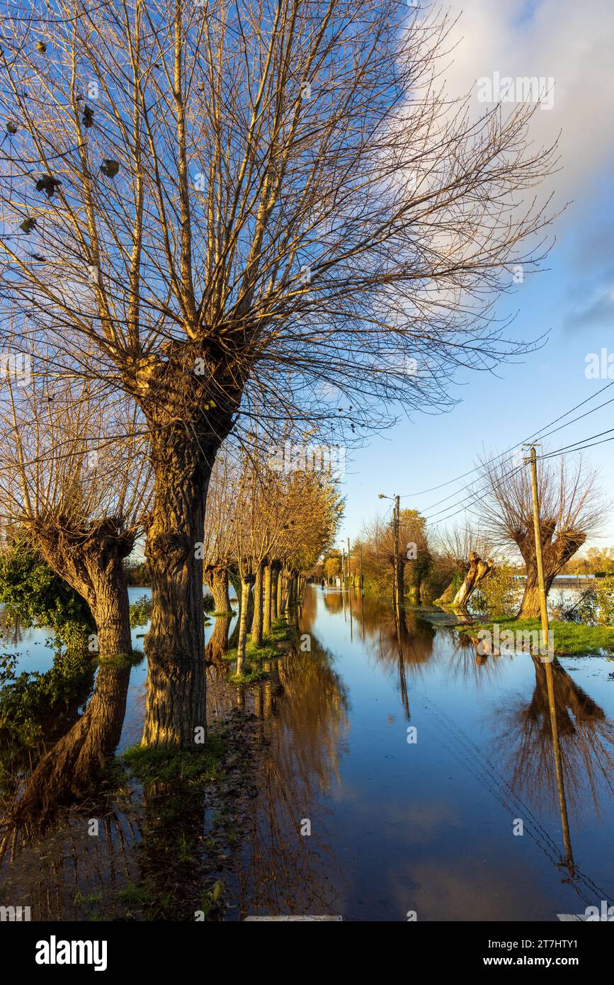 Novembre 2023-Inondations dans le Pas de Calais, le lac d'Ardres déborde suite aux intenses précipitations. Stock Photo