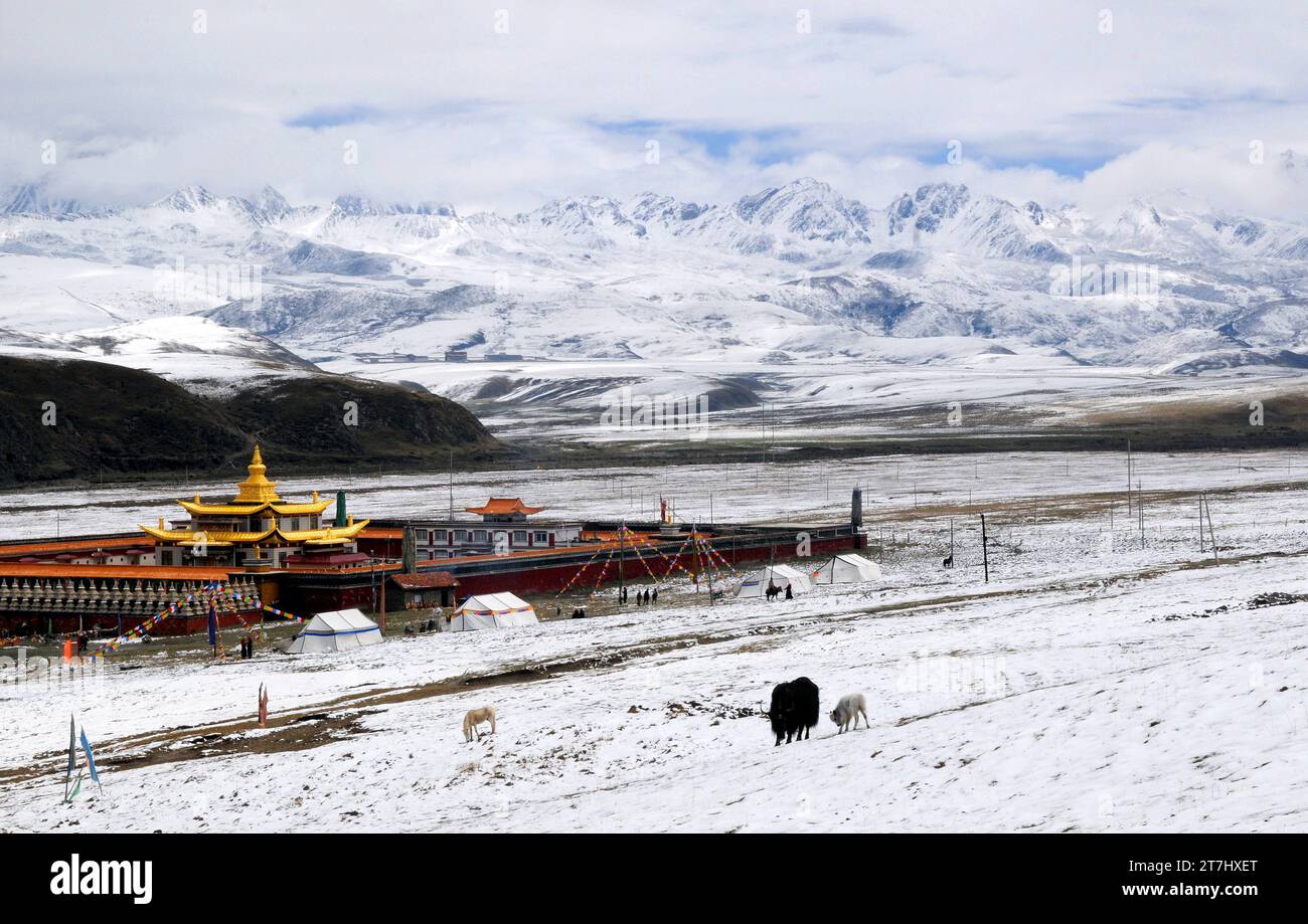 Tibetan Buddhist temple in snowy landscape in Tagong, Sichuan Stock Photo