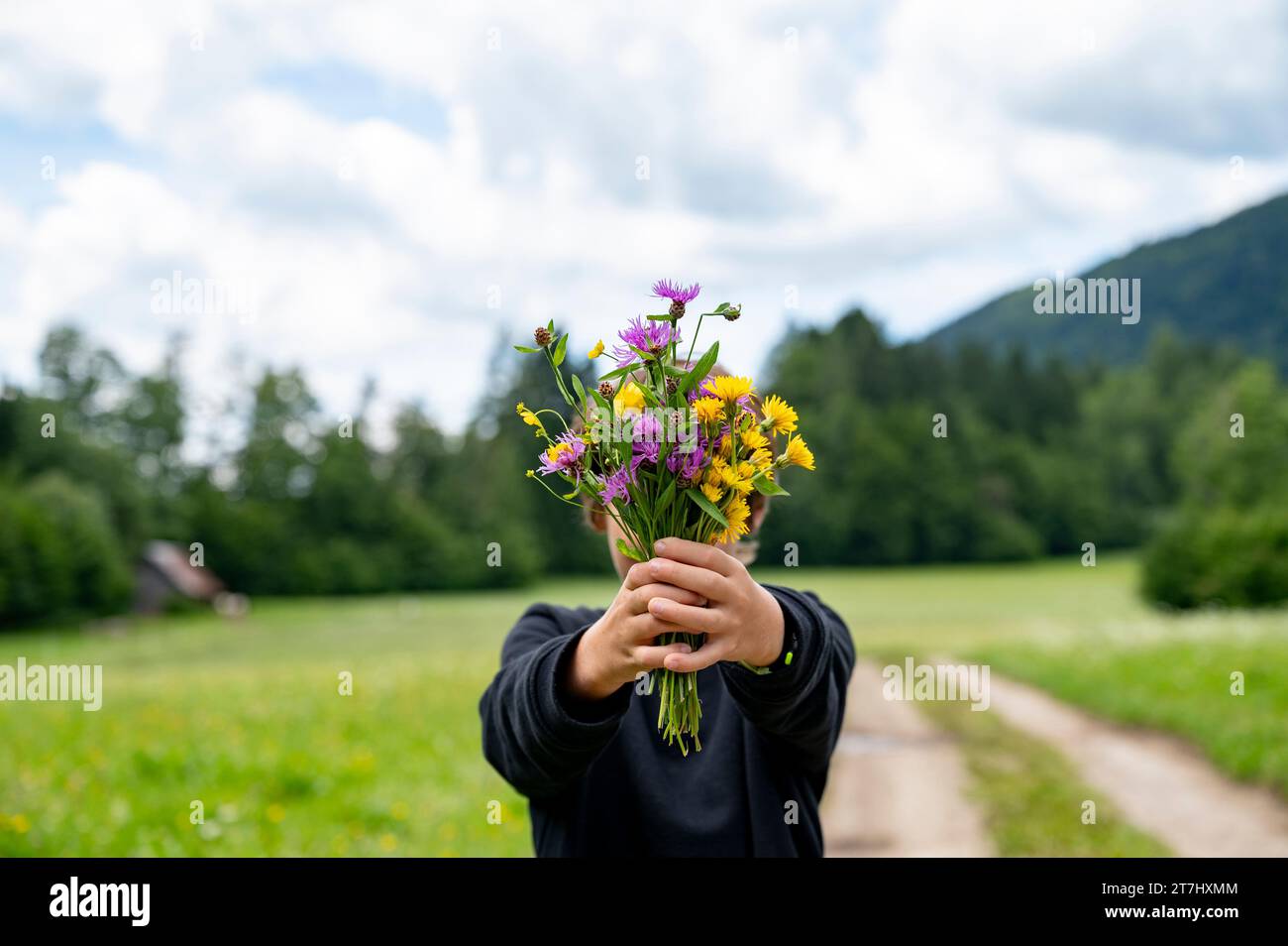 Hand picked meadow flowers hi-res stock photography and images - Alamy