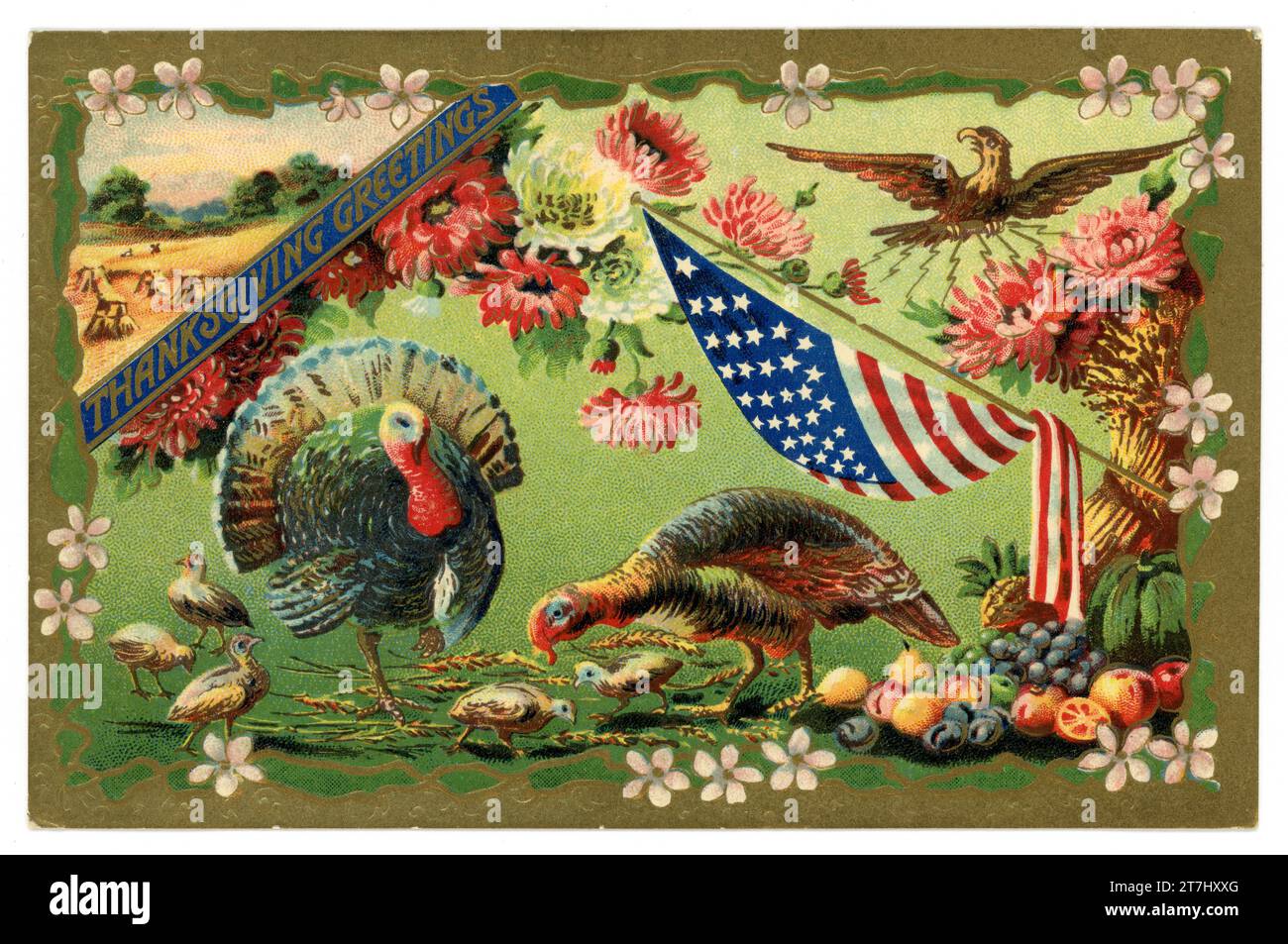 Original and typical old fashioned, beautiful embossed postcard of American thanksgiving day turkey, stars & stripes, eagle, with a gold border. Dated to circa 1911, U.S.A. Stock Photo