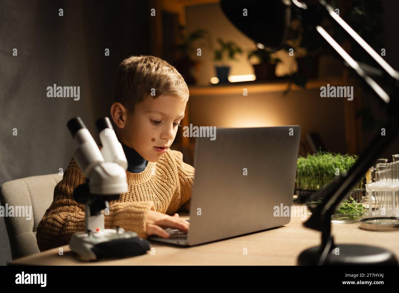 Student using laptop computer and microscope. Science, laboratory, research, online learning and home studying concept Stock Photo