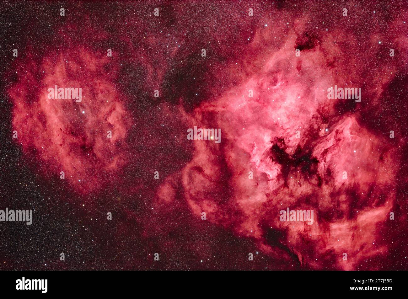 This is a framing of an array of emission nebulas in Cygnus: the bright North America Nebula (NGC 7000) at right, and to the right of it, the Pelican Stock Photo