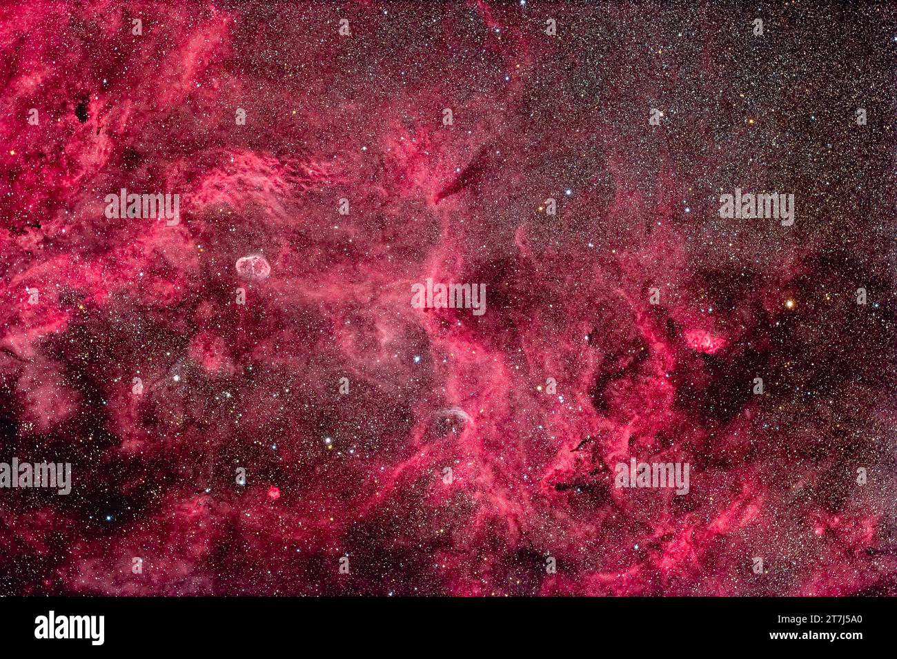 This is the rich area of nebulosity in central Cygnus that includes the Crescent Nebula (aka NGC 6888) at left, and the Tulip Nebula (aka Sharpless 2- Stock Photo
