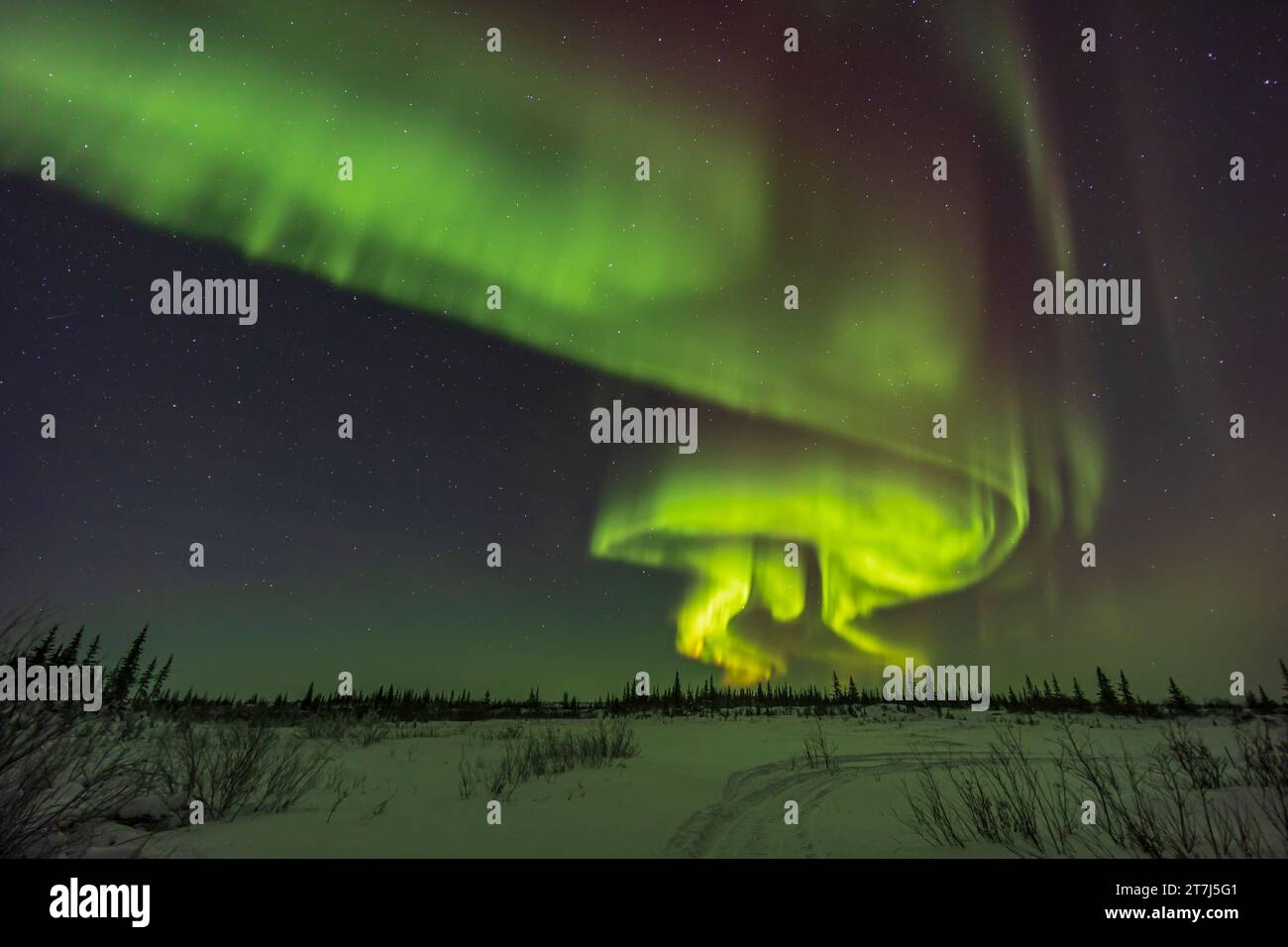 A display of aurora borealis in a curving arc of parallel curtains and swirls in the northeastern sky on a Kp5 night, February 22, 2023. The curtains Stock Photo