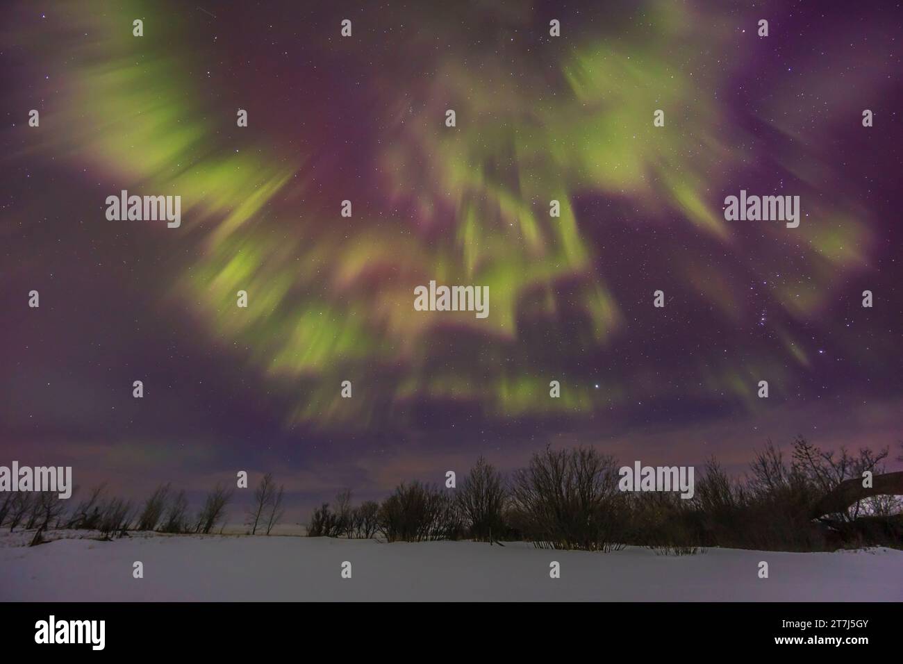 Auroral streamers or rays rather than curtains as part of the pulsating