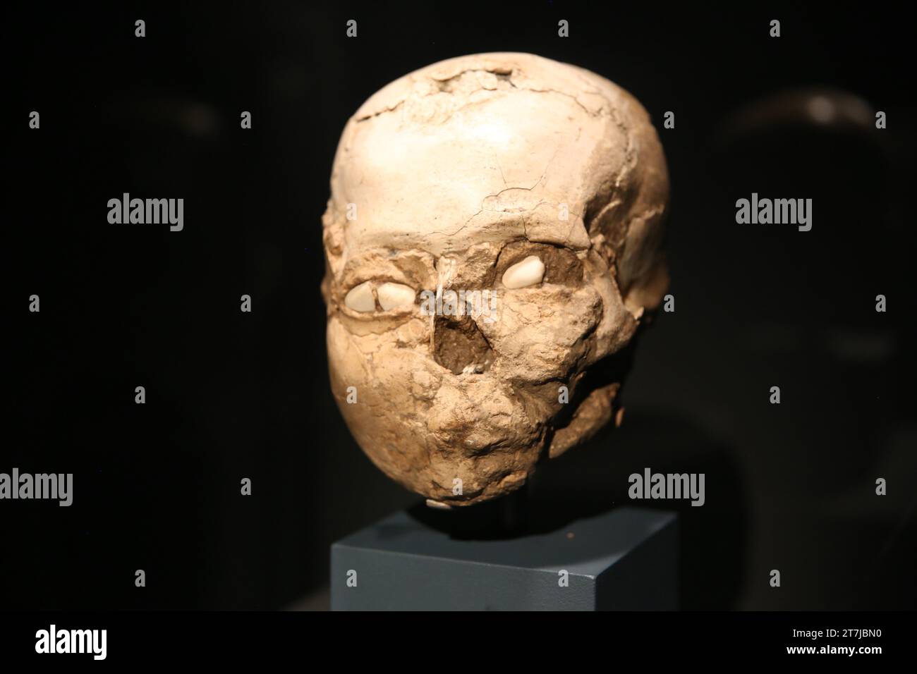 Plastered human skulls.human skull covered in worn plaster, with eye sockets set with simple sea shells Tell es-Sultan, Jericho, c. 9000 BC. Neolithic Stock Photo
