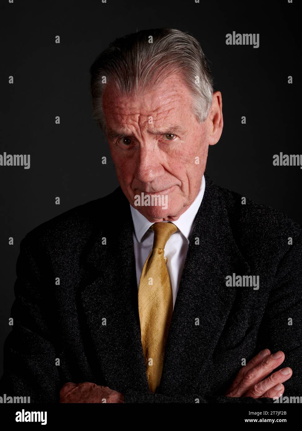 Michael Palin at The Oldie Literary Lunch 14-11-23 Stock Photo