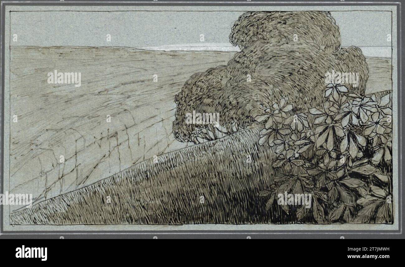 Adolf Böhm Tree crown and leaf outlaw in front of a wide landscape ...