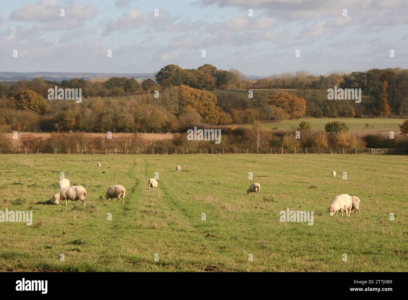 Sissinghurst Gardens Stock Photo