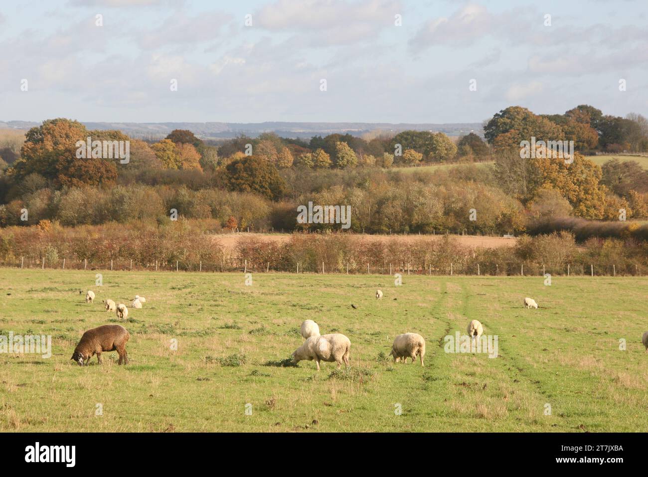 Sissinghurst Gardens Stock Photo