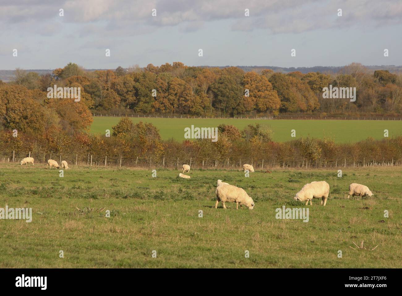 Sissinghurst Gardens Stock Photo
