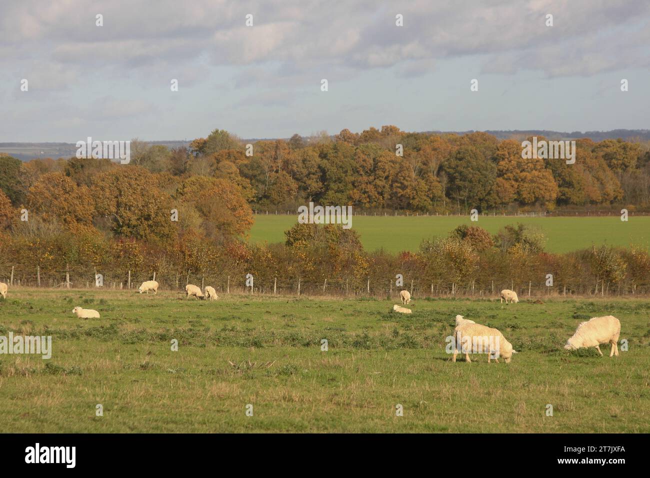Sissinghurst Gardens Stock Photo