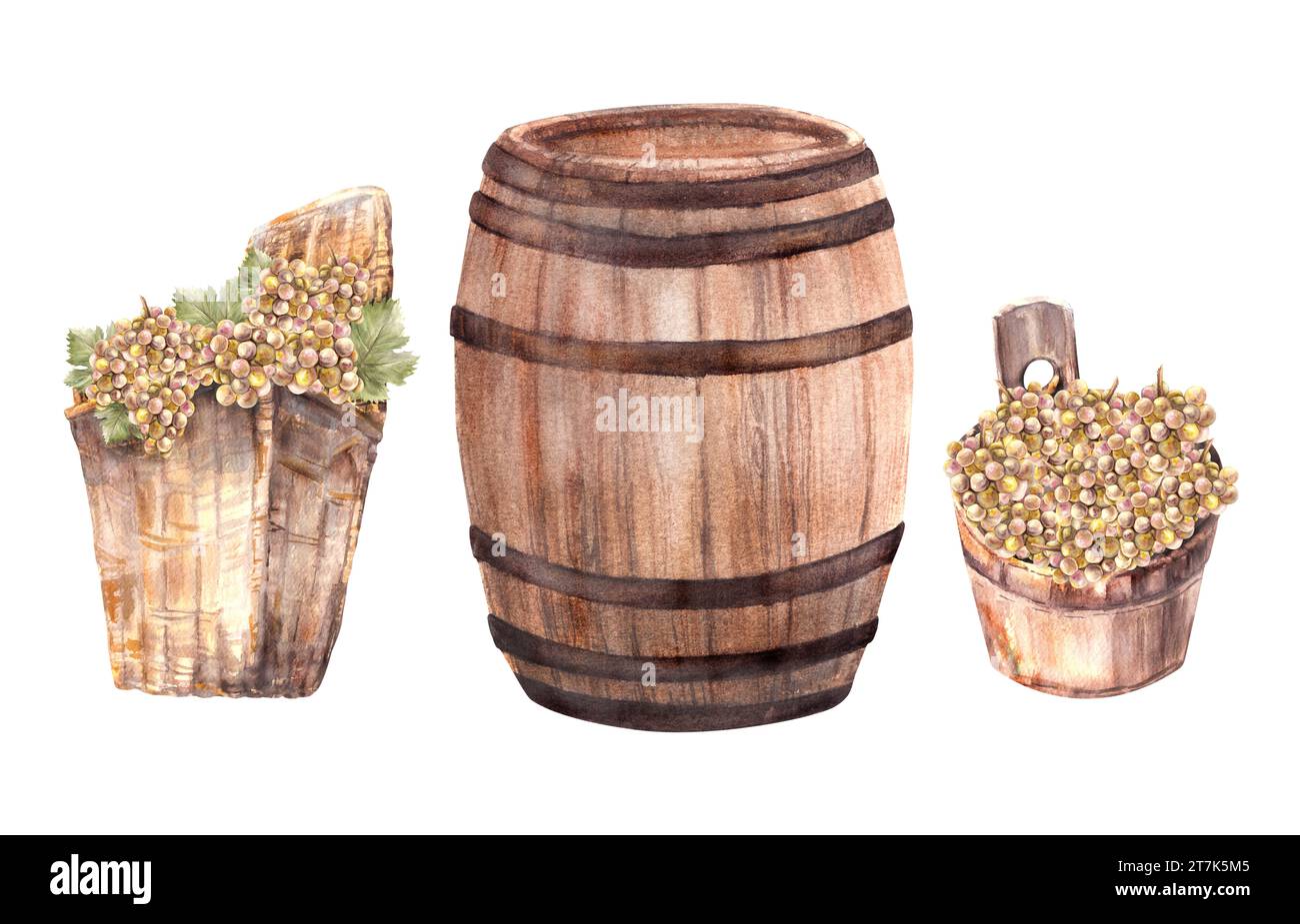 Wine barrel and winemaking harvest, wooden bucket, wicker basket