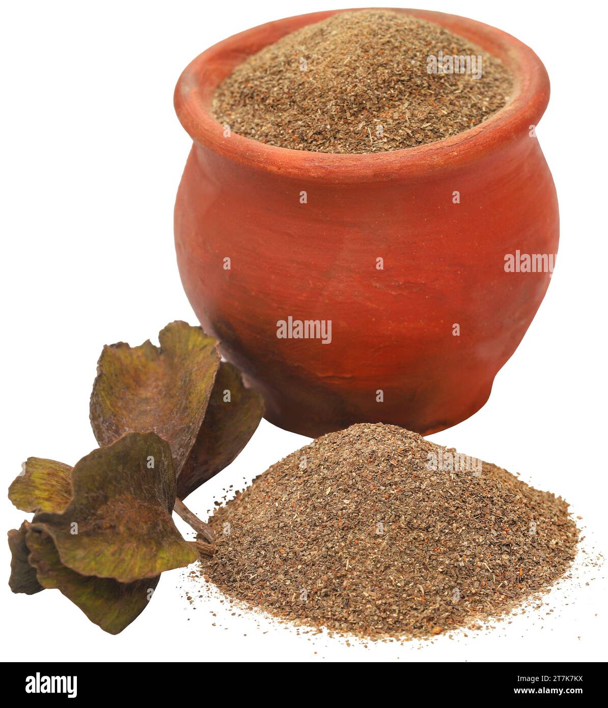Ayurvedic arjun fruit with ground powder in pottery Stock Photo