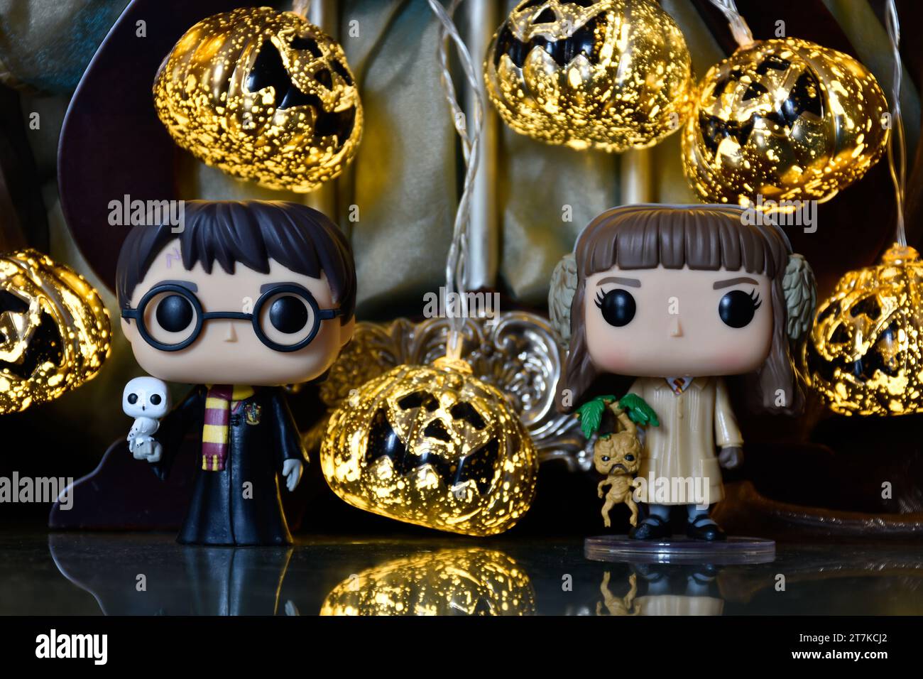 Funko Pop action figures of Harry Potter and Hermione Granger. Halloween pumpkin lights, dark palace, mysterious, magic, spooky season. Stock Photo